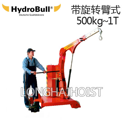 帶旋轉臂式工業(yè)起重機